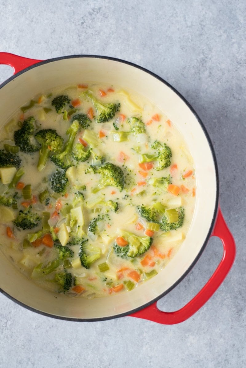 Broccoli Cheddar and Potato Soup