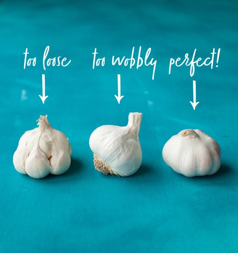 How to Make Roasted Garlic - Good Garlic