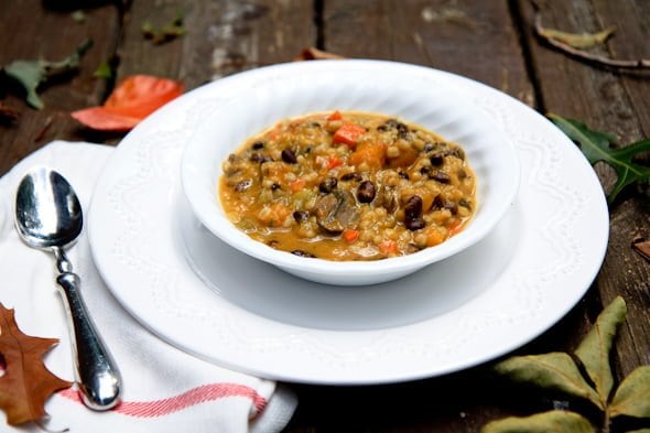 vegan fall vegetable stew with black beans and barley