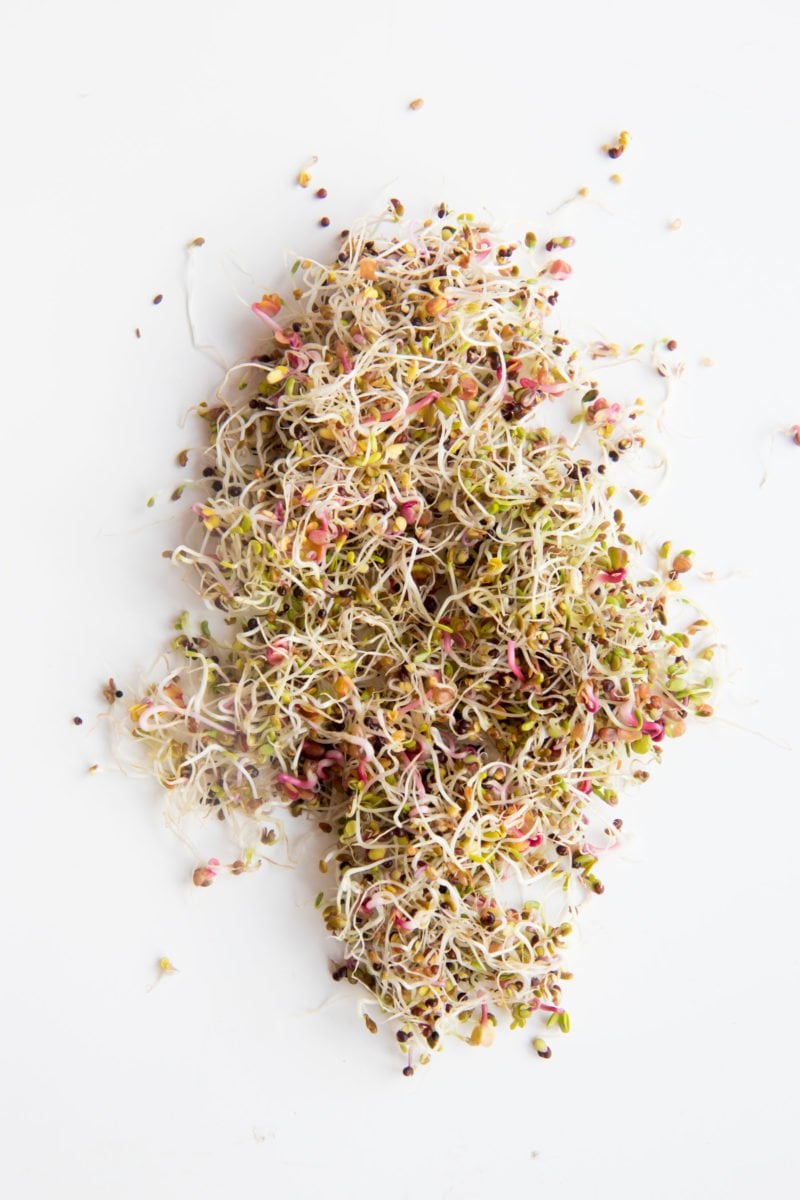 Mix of various types of sprouts on a white background