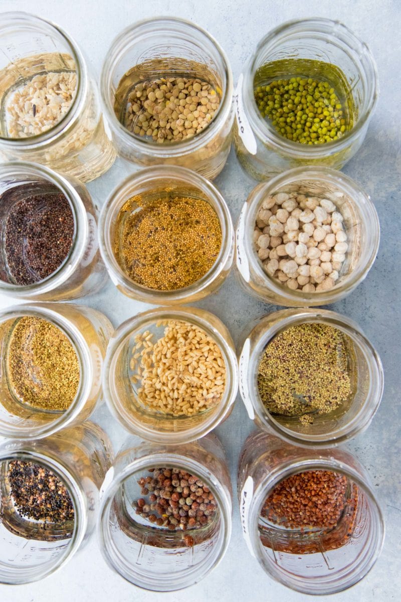 Overhead close-up shot of 12 mason jars filled with seeds and water for sprouting; each jar contains a different type of seed