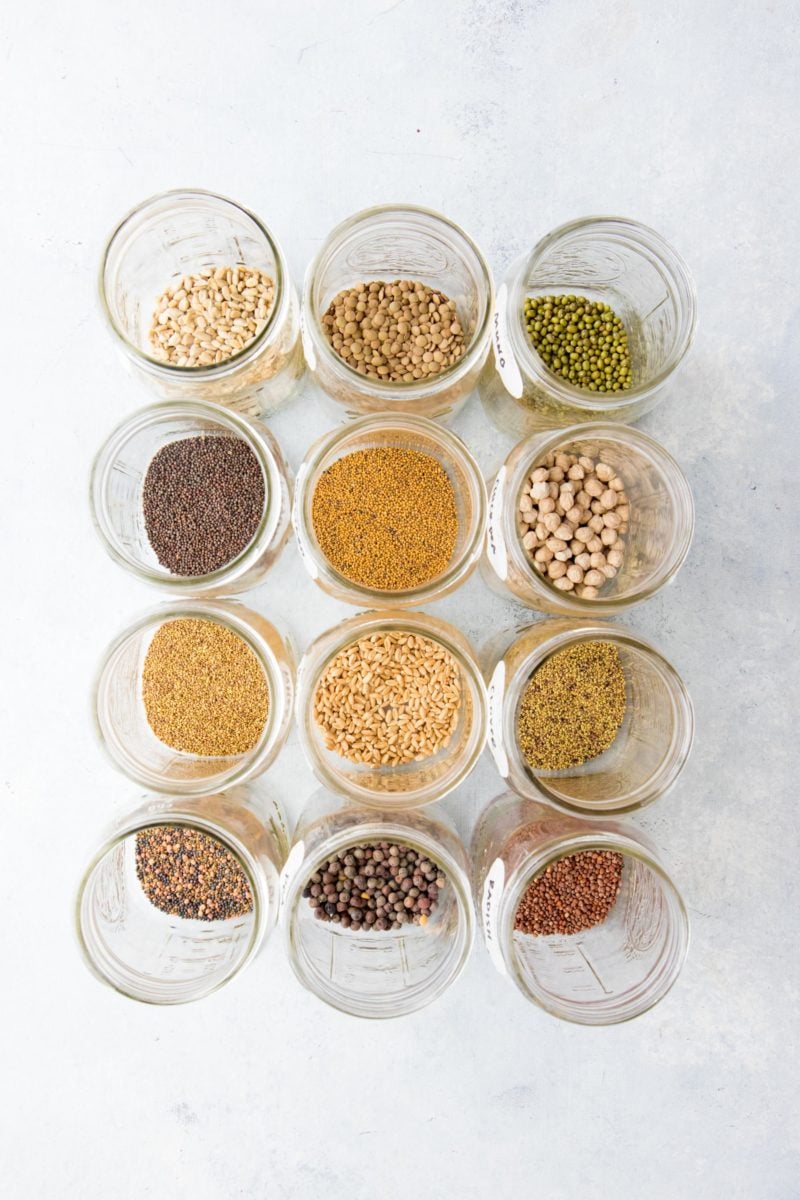 Overhead shot of 12 mason jars filled with seeds and water for sprouting; each jar contains a different type of seed