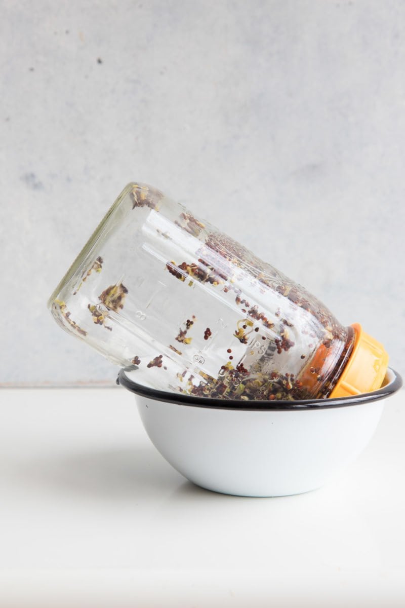 Upside down mason jar filled with broccoli sprouts, tilted into a white bowl