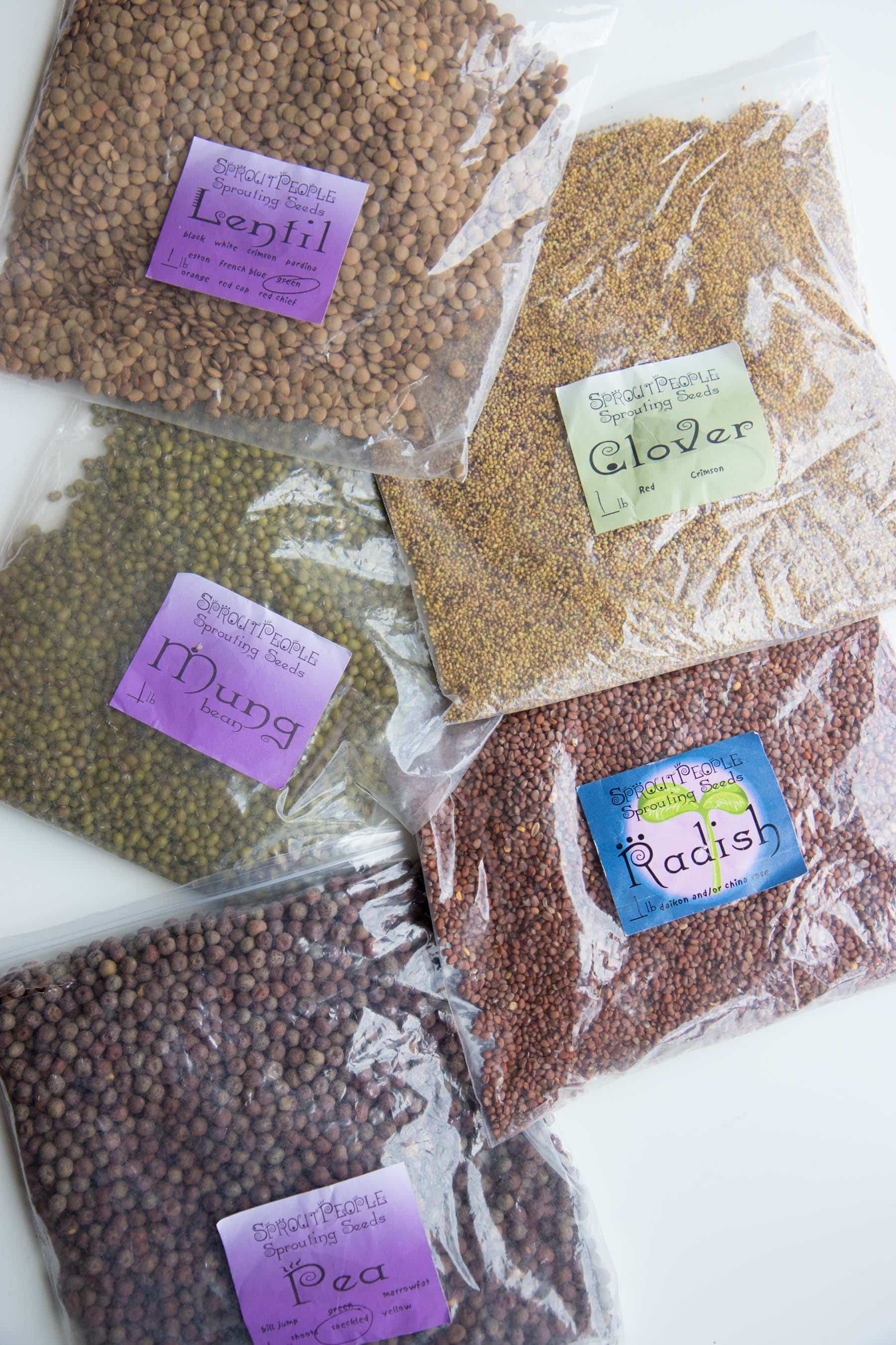 Overhead shot of bags of sprouting seeds - pea, radish, clover, mung bean, and lentil seeds