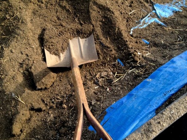 shovel soil