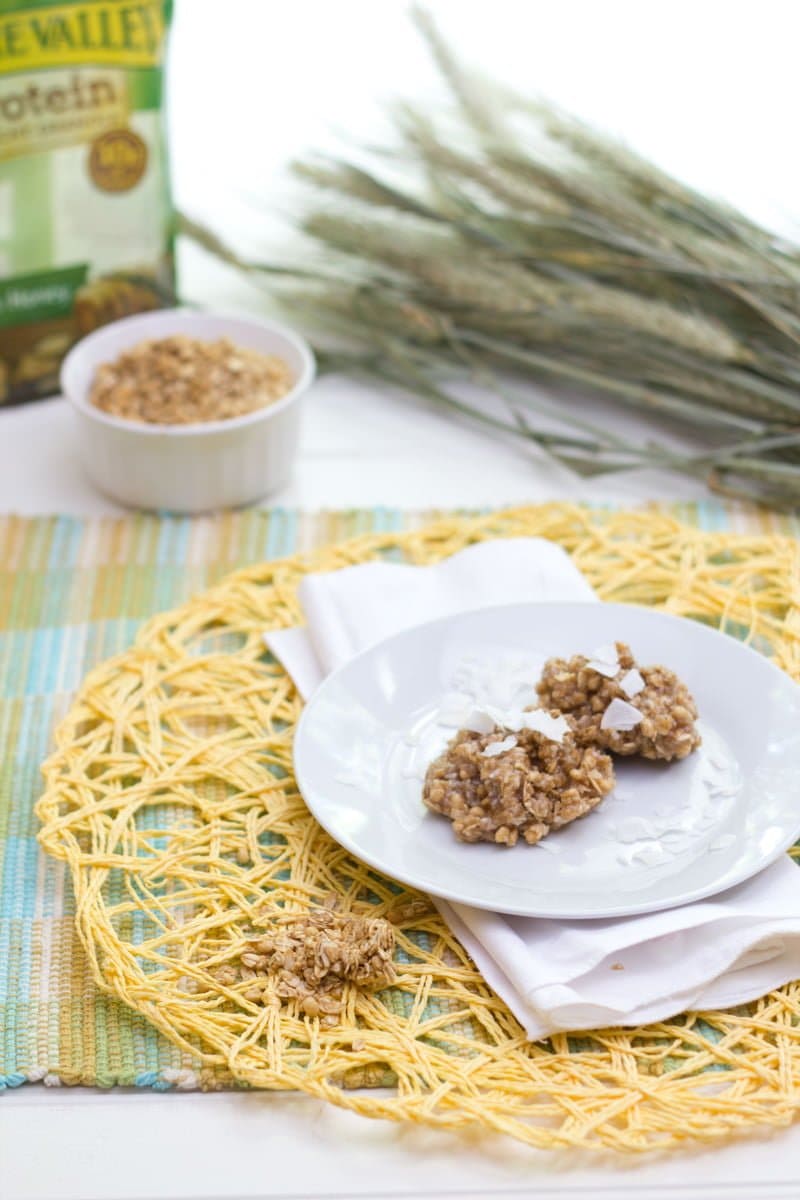 Coconut Granola No Bake Cookies