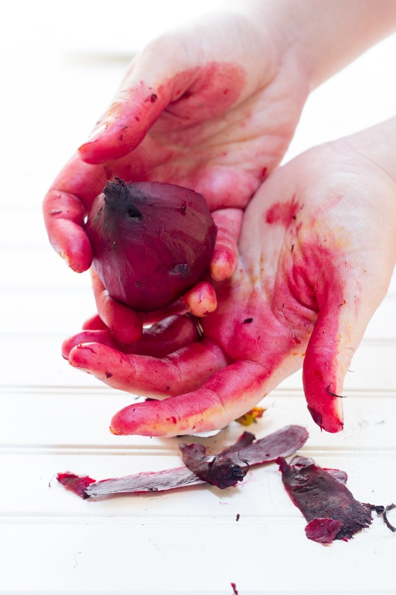 Hands peeling a cooked red beet. The skin is stained red.