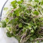 Microgreens sit in a glass bowl, ready to be washed.