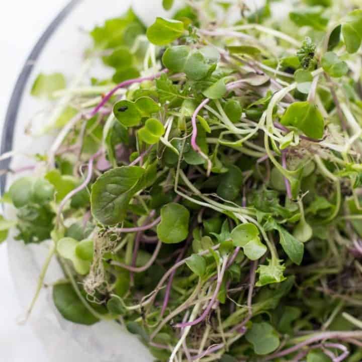 Microgreens sit in a glass bowl, ready to be washed.