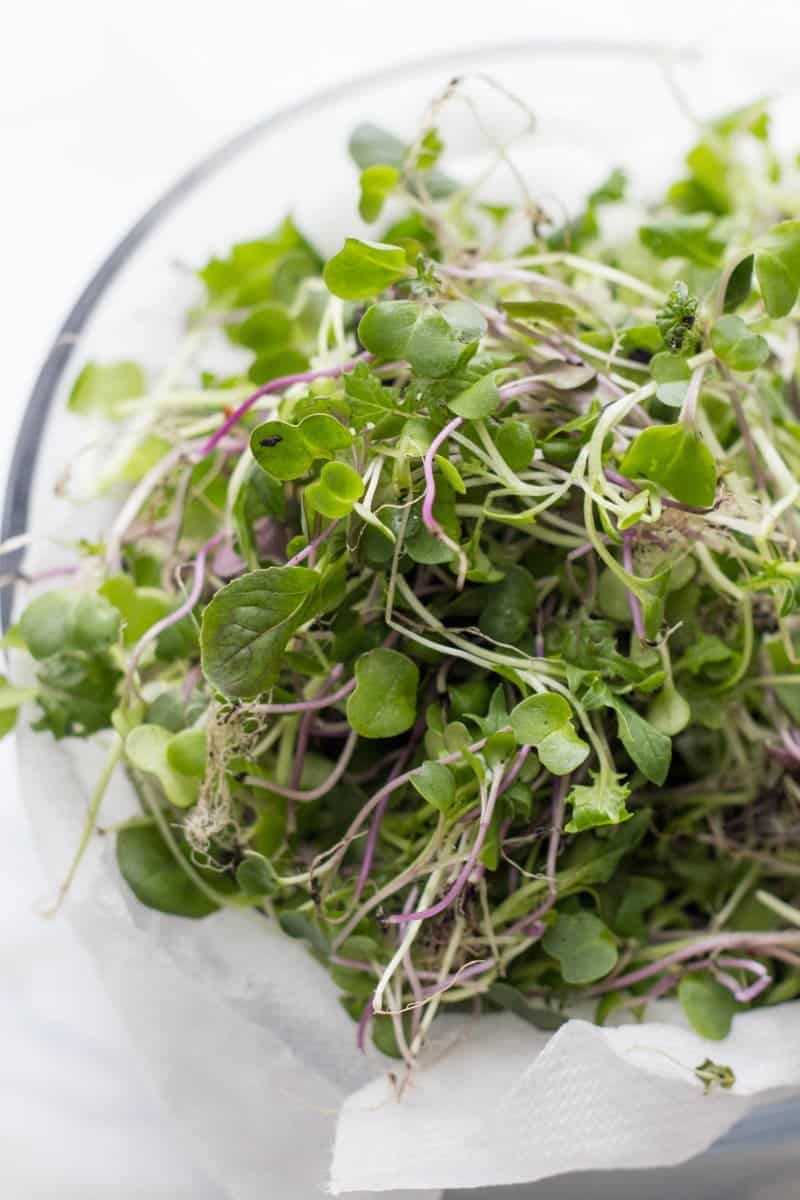 Microgreens sit in a glass bowl, ready to be washed.