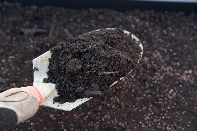 A trowel shovels soil into a black flat growing pan.