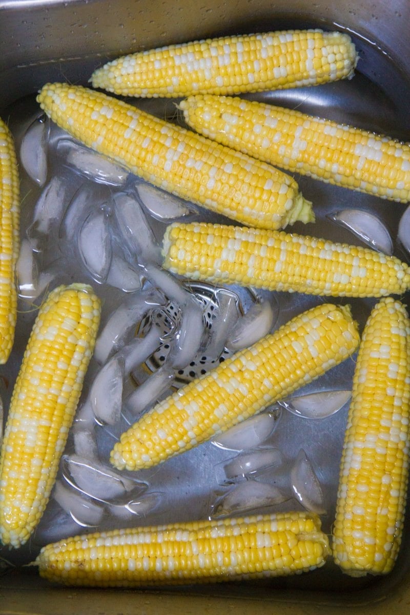 Overhead of corn on the cob in an ice bath after blanching.