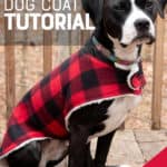 A black and white dog sits outside in a red plaid coat. A text overlay reads "1 Hour Dog Coat Tutorial. Free Pattern."
