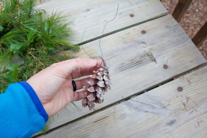 Hand holding a pinecone threaded with floral wire