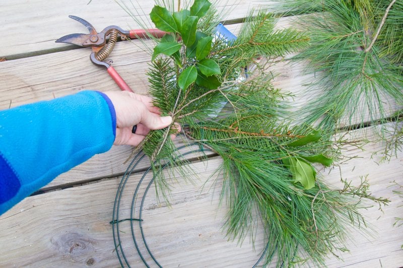 Hand holding more fresh greenery to add to a wreath form