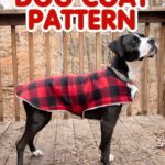 A black and white dog sits with a red and white plaid coat on. Text overlay "Dog Coat Pattern"