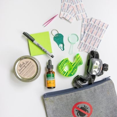 Grey pouch containing a tick kit and labeled with a "no ticks" sign, with bandages, a tick key, sticky notes, tape, drawing salve, and more spilling out of it.