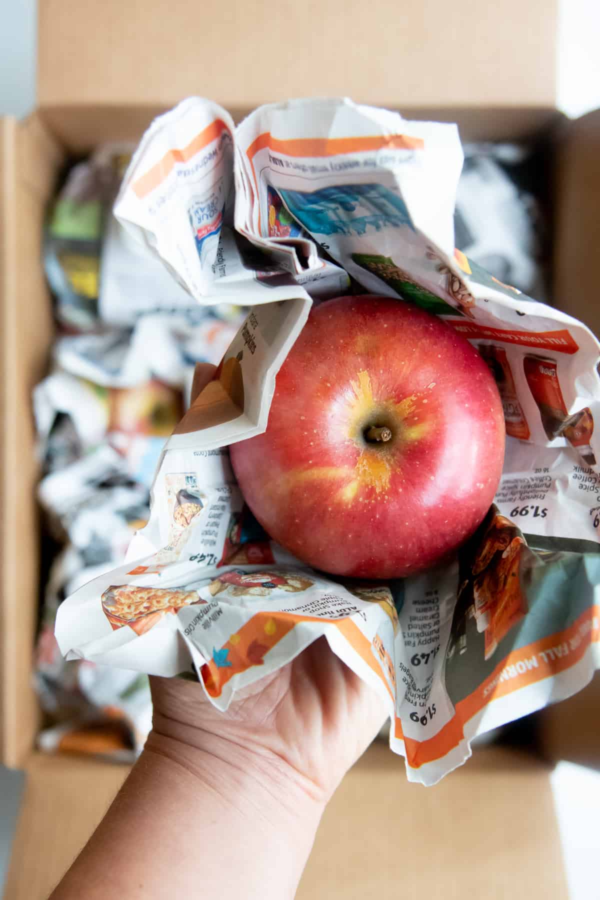 Red apple nestled in newspaper. A hand holds the apple over a cardboard box.