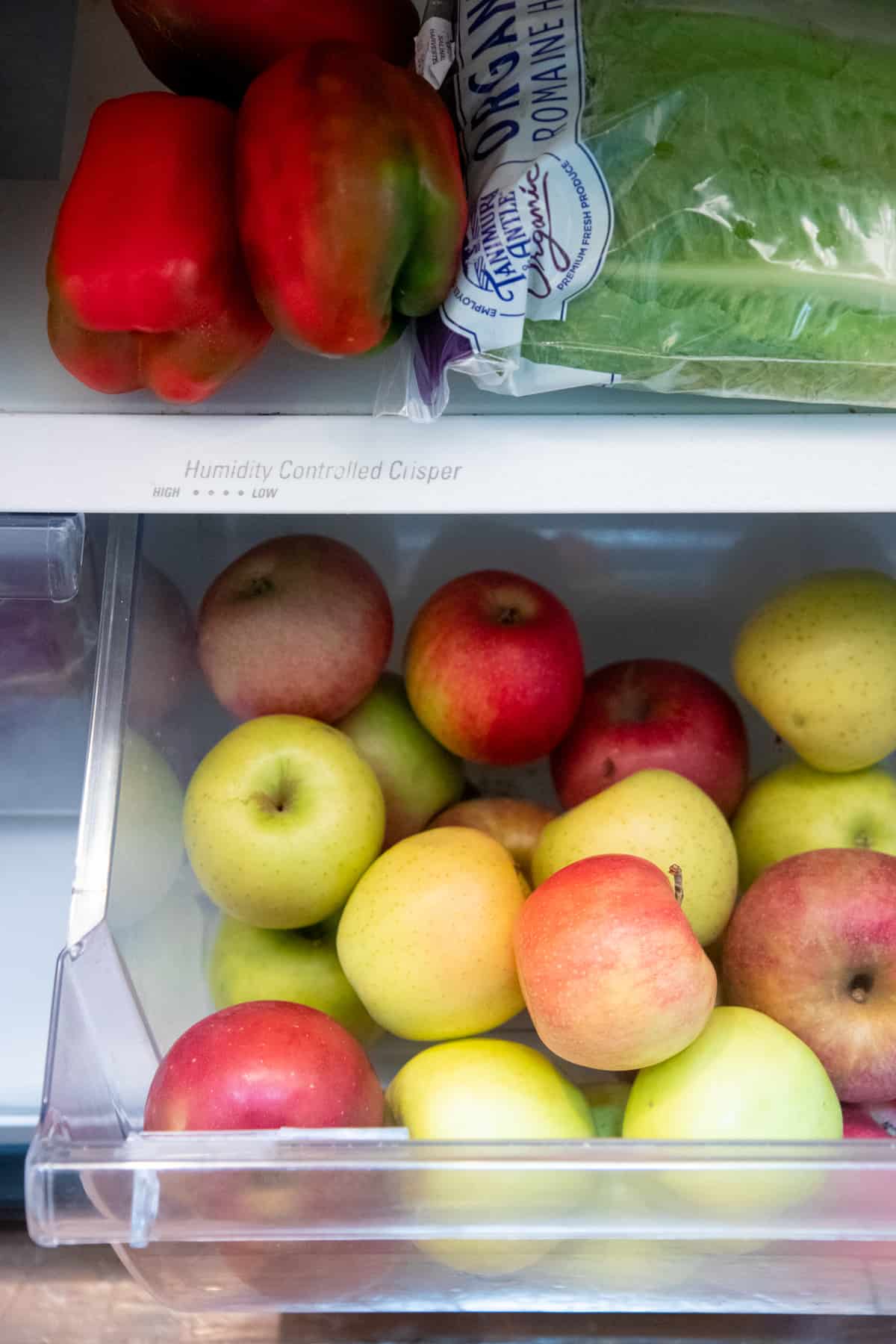 Green, yellow, and red apples are piled in a crisper of a refrigerator.