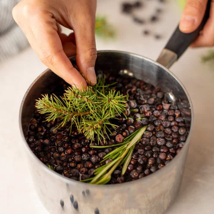A hand drops pine needles into a small saucepan full of water, rosemary, and juniper berries to make stovetop potpourri.