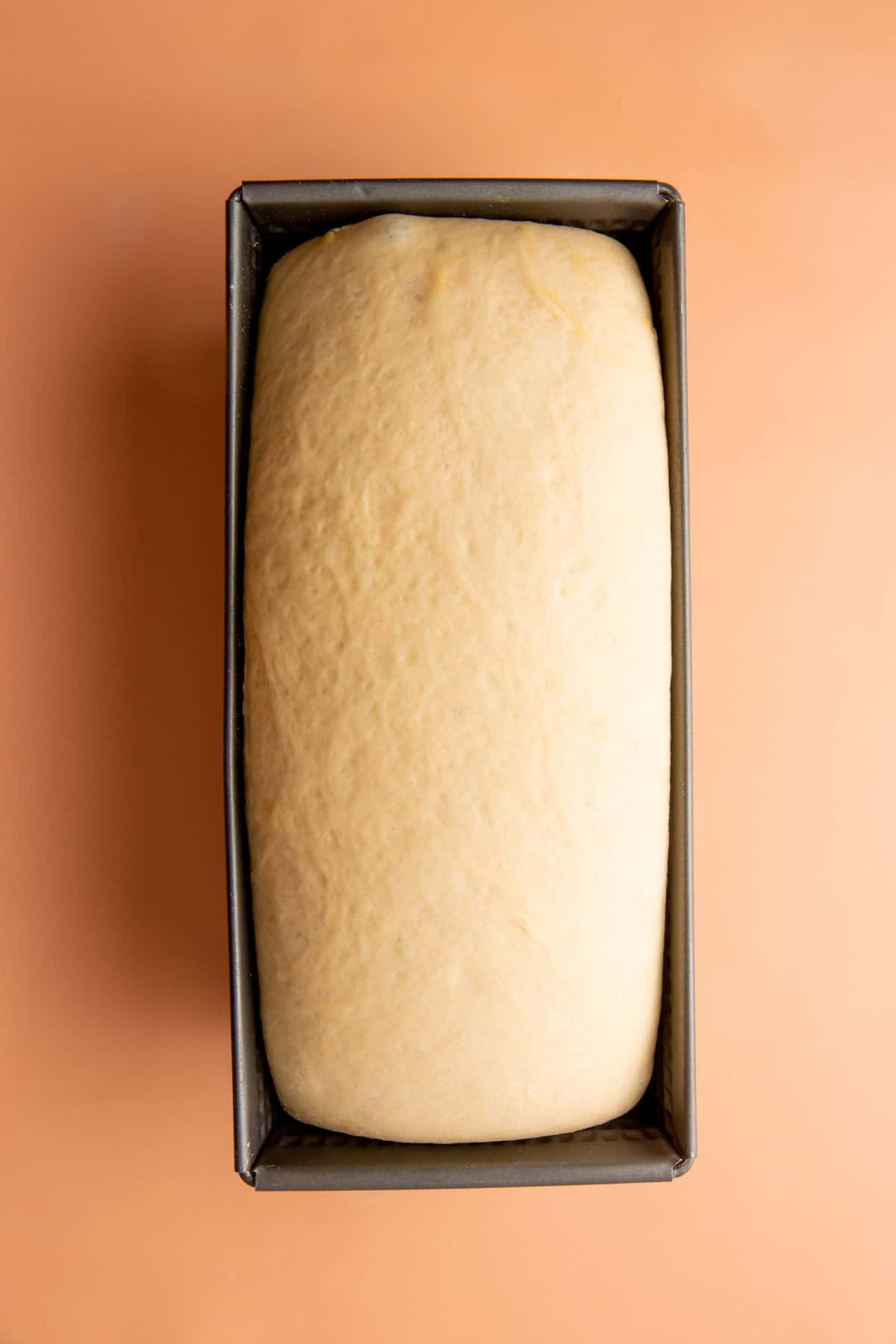 A loaf pan holds risen bread dough.