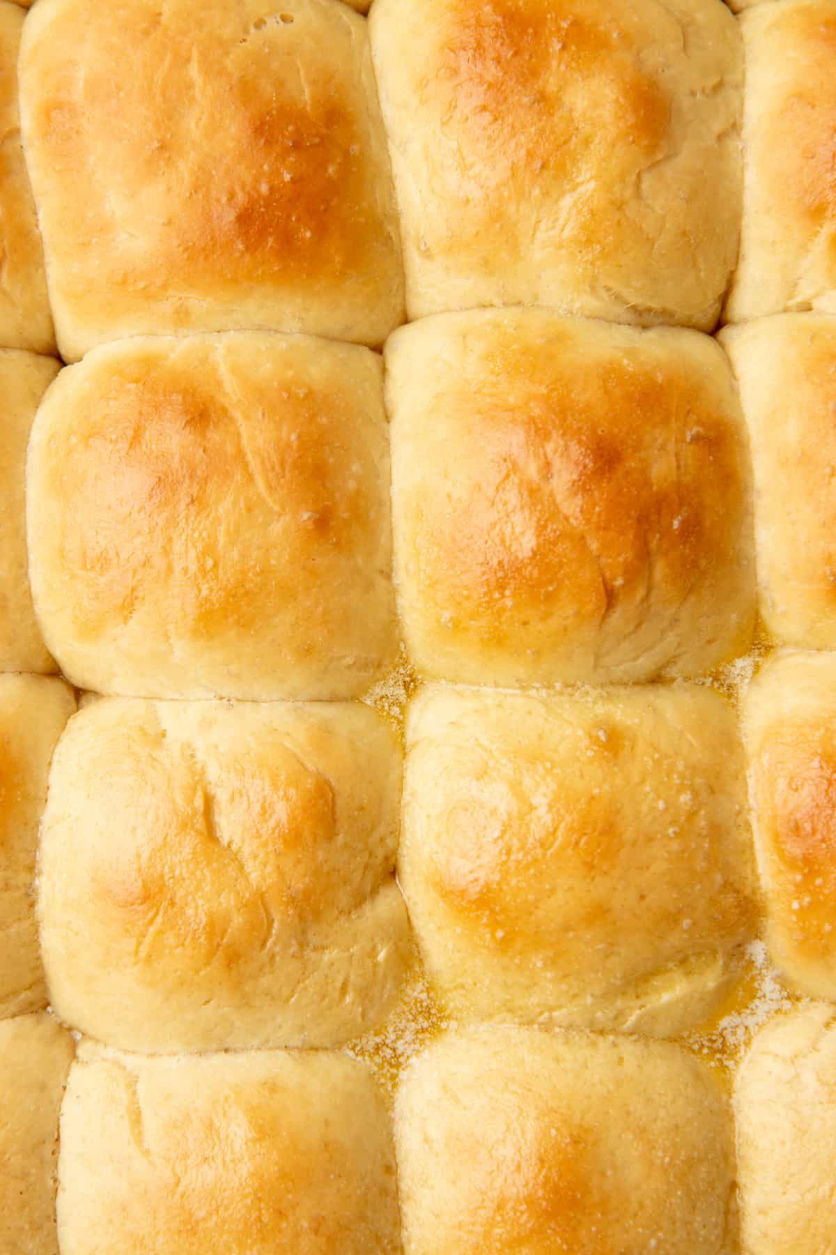 A close up view of baked yeast dinner rolls.