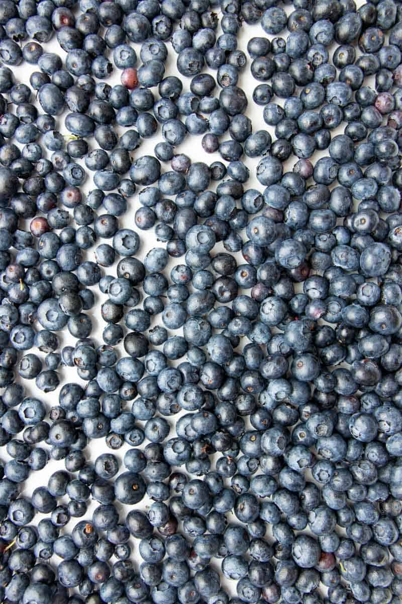 Overhead of fresh blueberries in a single layer on a baking sheet.