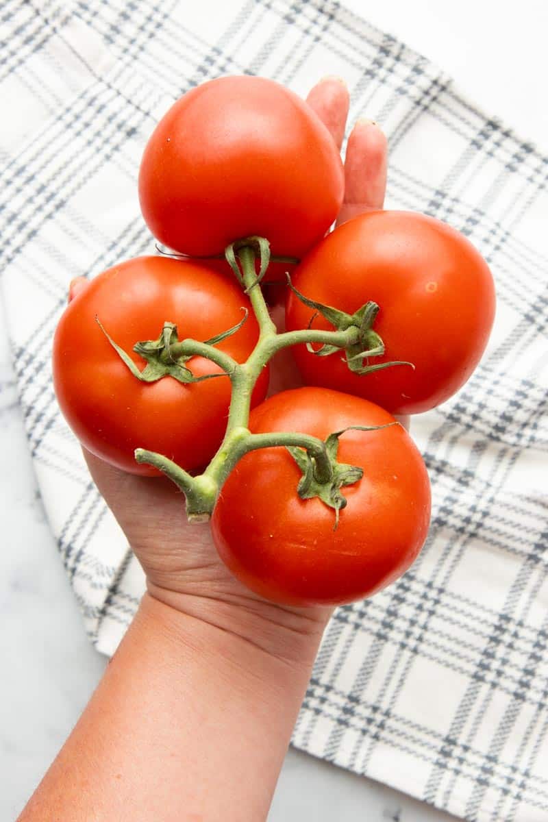 Overhead of a hand holding four large red slicing tomatoes still on the vine.