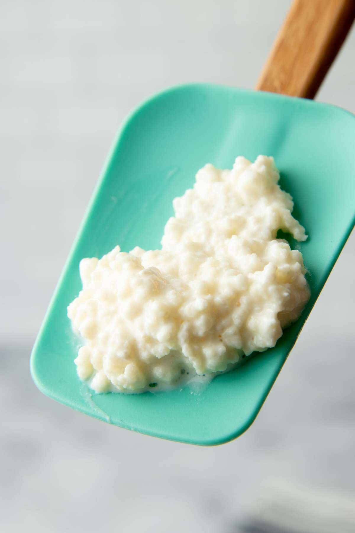 Close-up of kefir grains on the head of a silicone scraper.