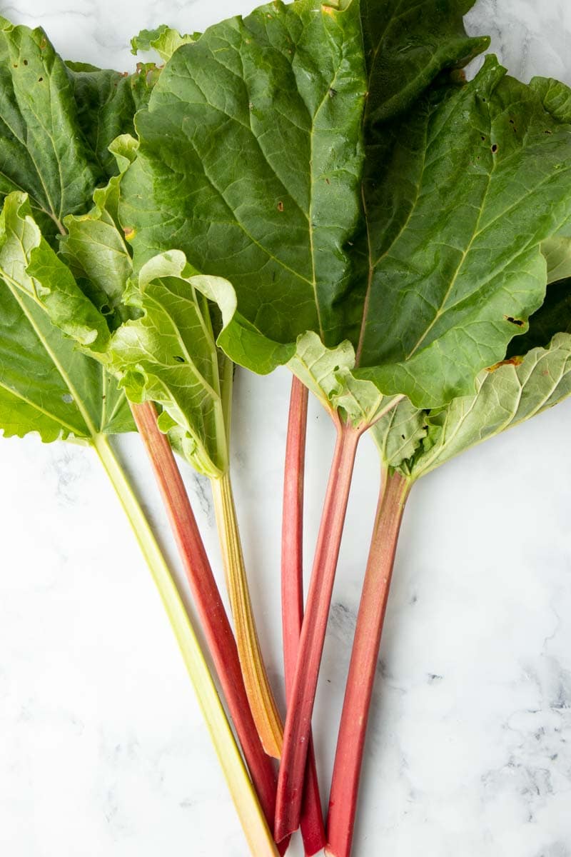 Overhead of fresh stalks of rhubarb with the leaves still attached, fanned out on a marble countertop.