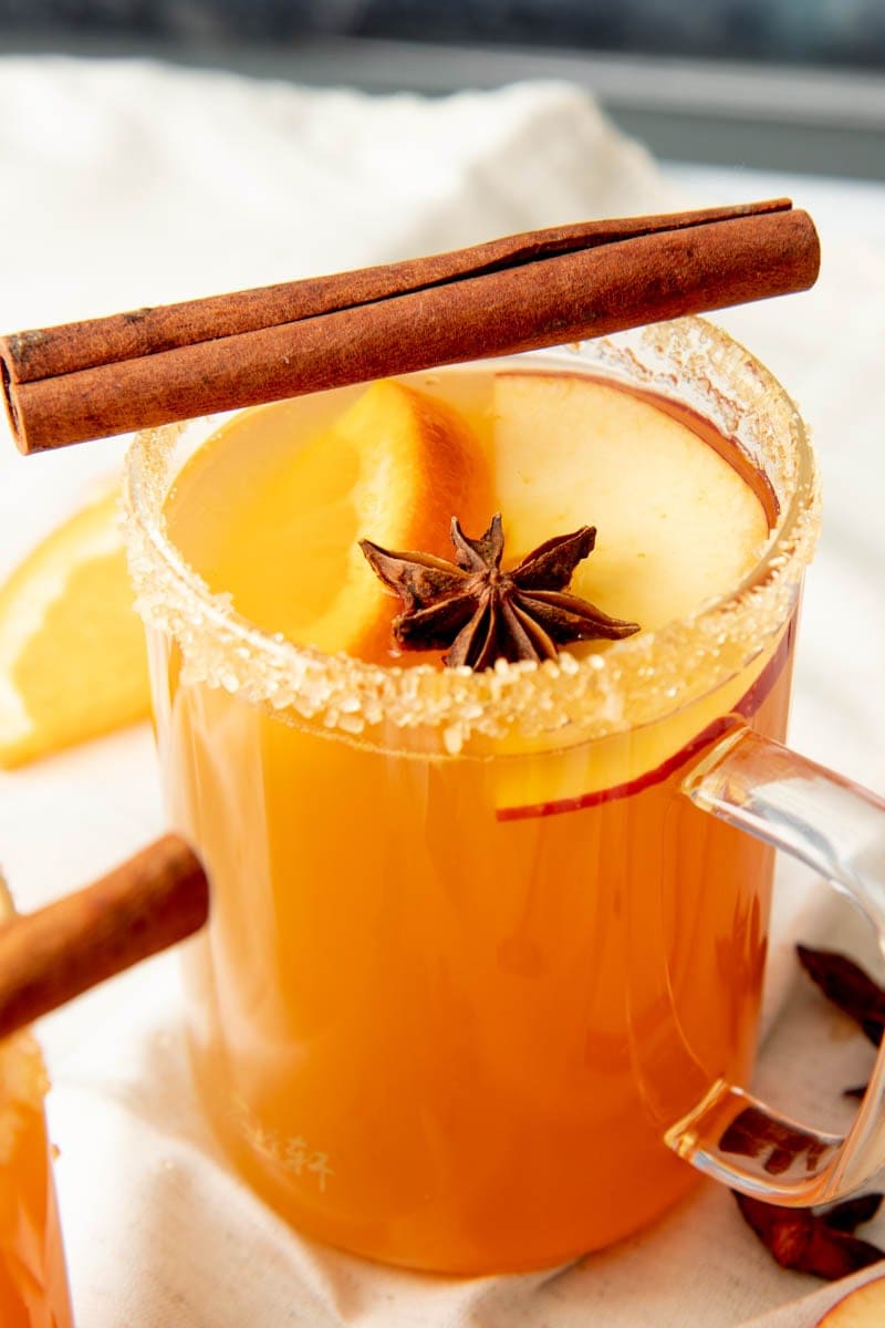 Close-up of a single mug of a cider cocktail with a cinnamon stick sitting across the top and a star anise pod floating on top.