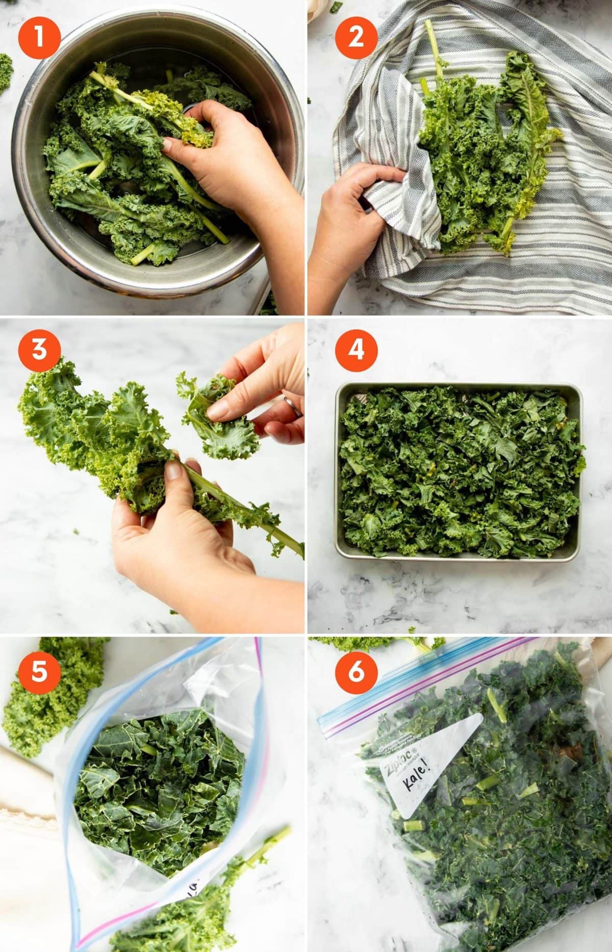 Collage of six steps to freeze kale.