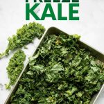 Overhead of torn kale in a single layer on a baking sheet to flash freeze before storing. A text overlay reads, "How to Freeze Kale."