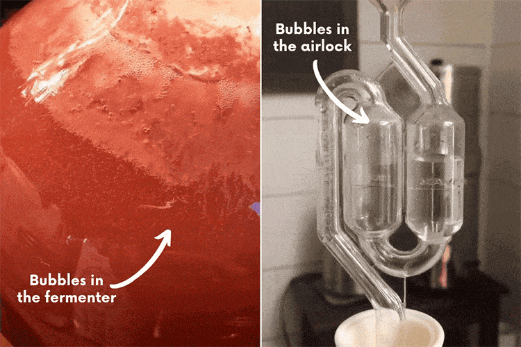 Collage of two gifs showing primary fermentation bubbles in the fermenter and the airlock.