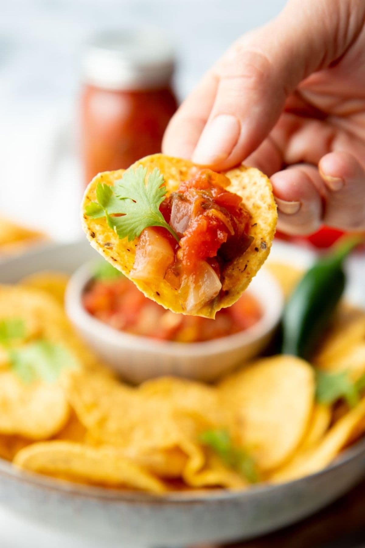 A hand holds a tortilla chip with salsa on it