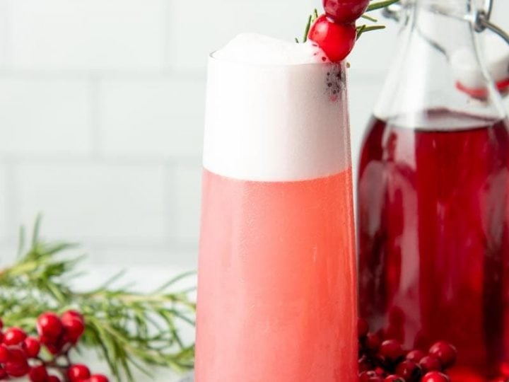 Holiday Cranberry Gin Fizz Cocktail Thanksgiving Or Christmas Cocktail