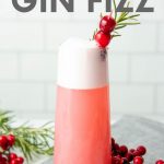 Close-up of a tall glass of cranberry gin fizz garnished with fresh cranberries and a rosemary sprig. A text overlay reads, "Cranberry Gin Fizz."
