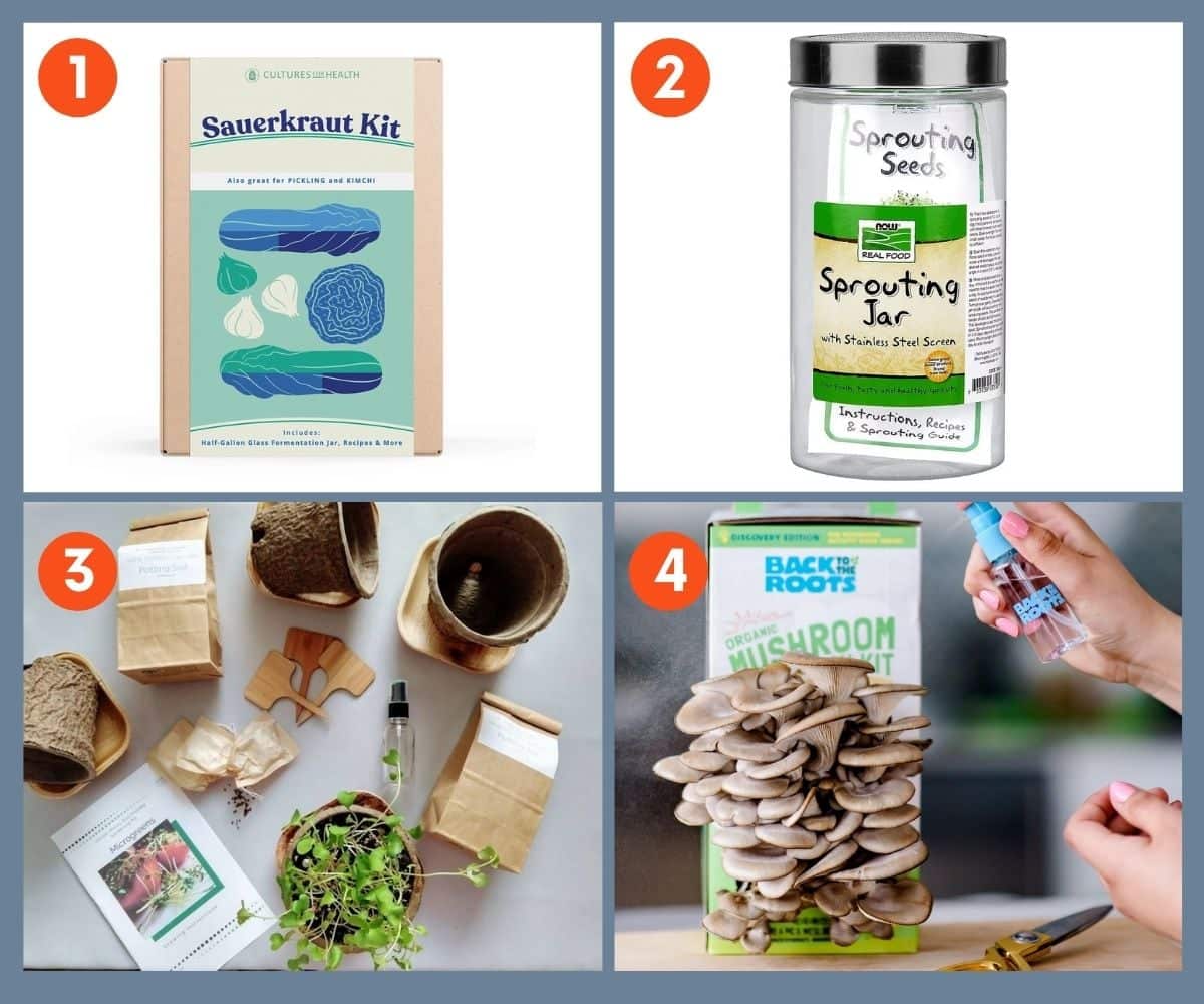 Collage of four food kits including sauerkraut kit and grow your own mushrooms kit.