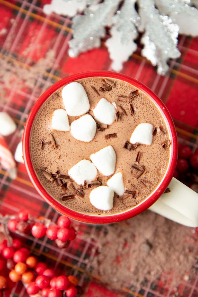Overhead of marshmallows and chocolate shavings floating on top of homemade hot cocoa.
