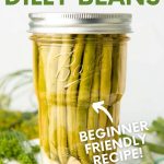 A jar of pickled dilly beans sits on a tea towel on top of a wooden cutting board. Fresh dill and additional beans are around the jar. A text overlay reads "How to Can Dilly Beans. Beginner Friendly Recipe!"