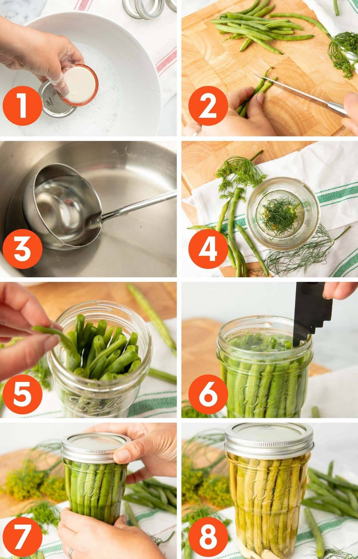 A step by step image showing how to make dilly beans for canning