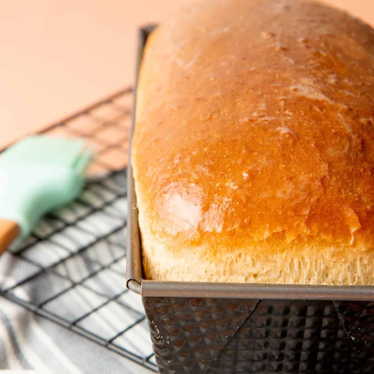 Freshly baked homemade sandwich bread in a loaf pan cooling on a wire rack.