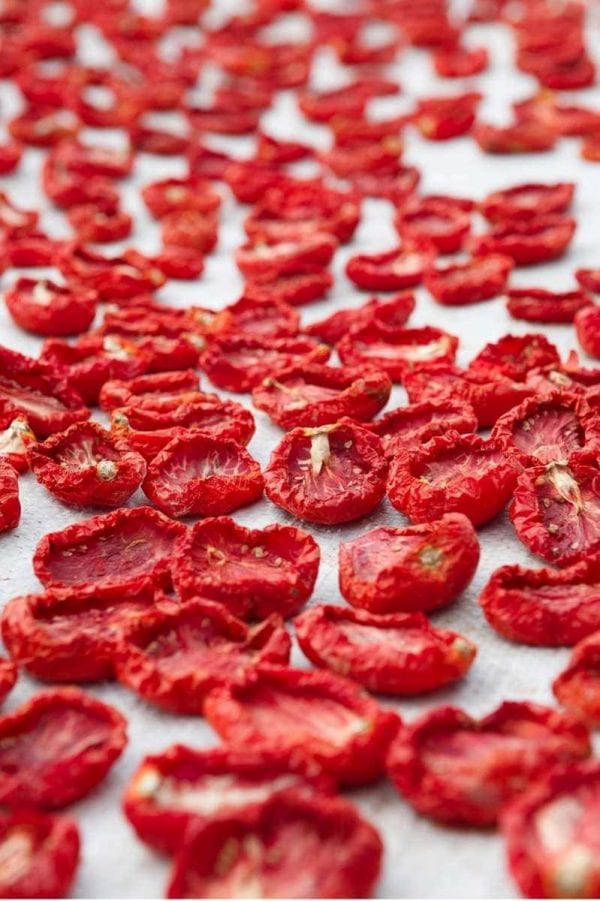 A single layer of dried tomatoes out in the sun.