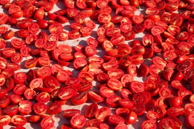 Halved roma tomatoes drying in the sun.