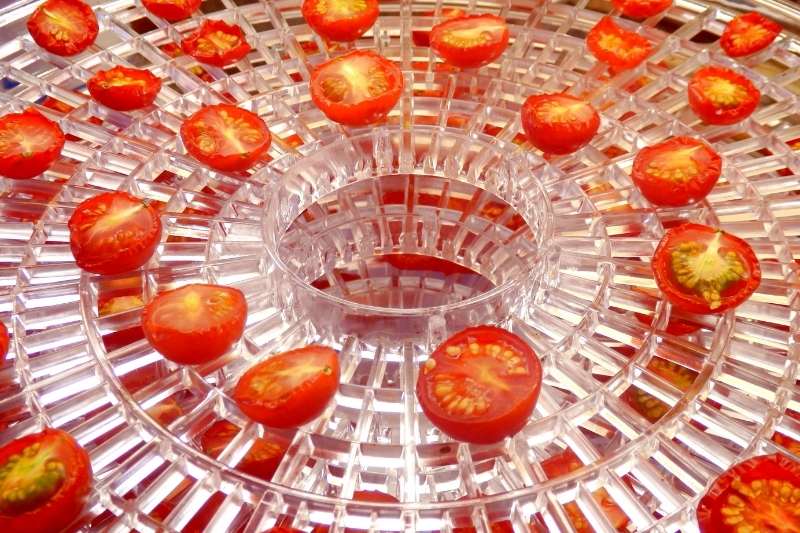 Cherry tomatoes drying on a dehydrator tray.