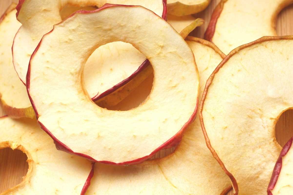 Close up on dehydrated apple rings.