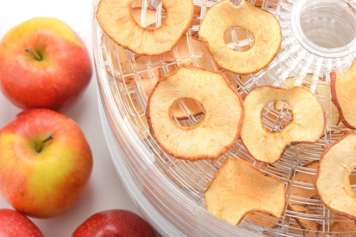 Dried apple rings on dehydrator trays with fresh apples alongside, showing how to dehydrate apples