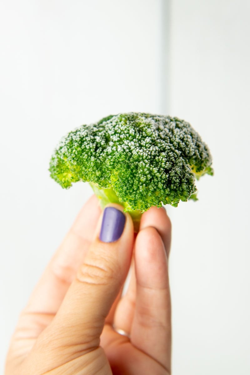 A hand holds up a single frozen broccoli floret.