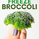 A hand holds up a single frozen broccoli floret. A text overlay reads, "How to Freeze Broccoli."