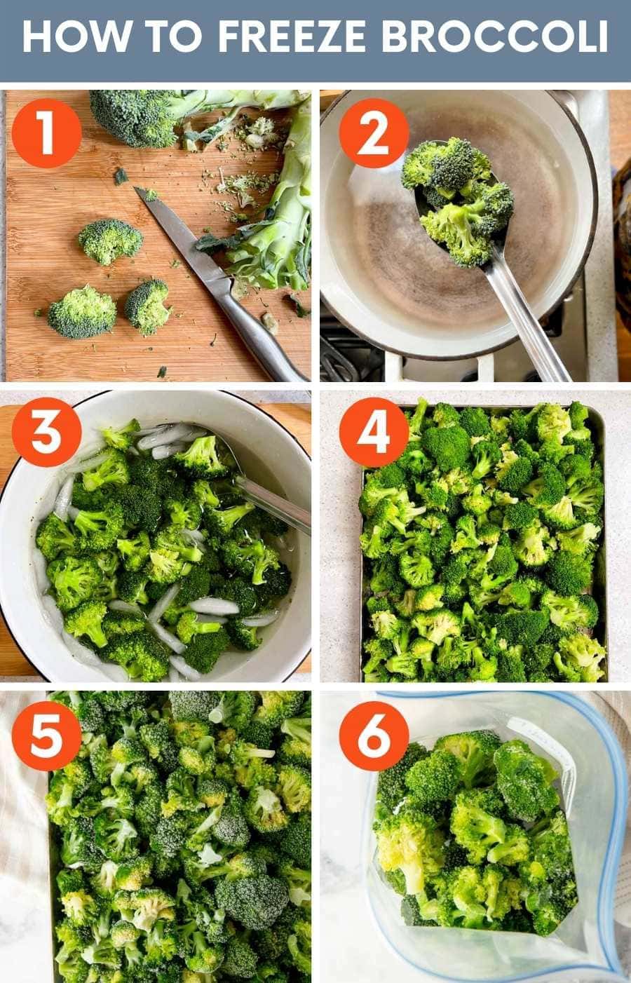 Collage of six steps to freezing broccoli.